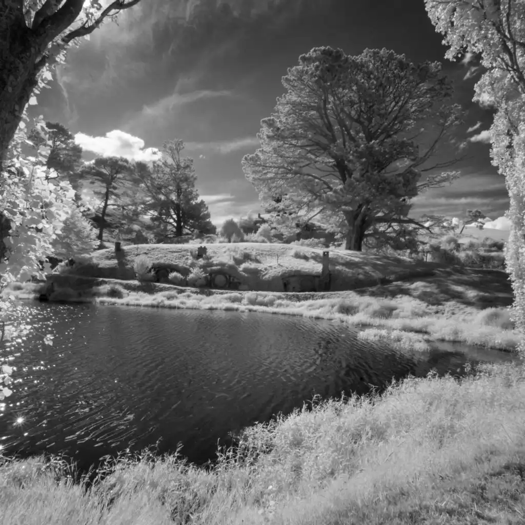 header-image