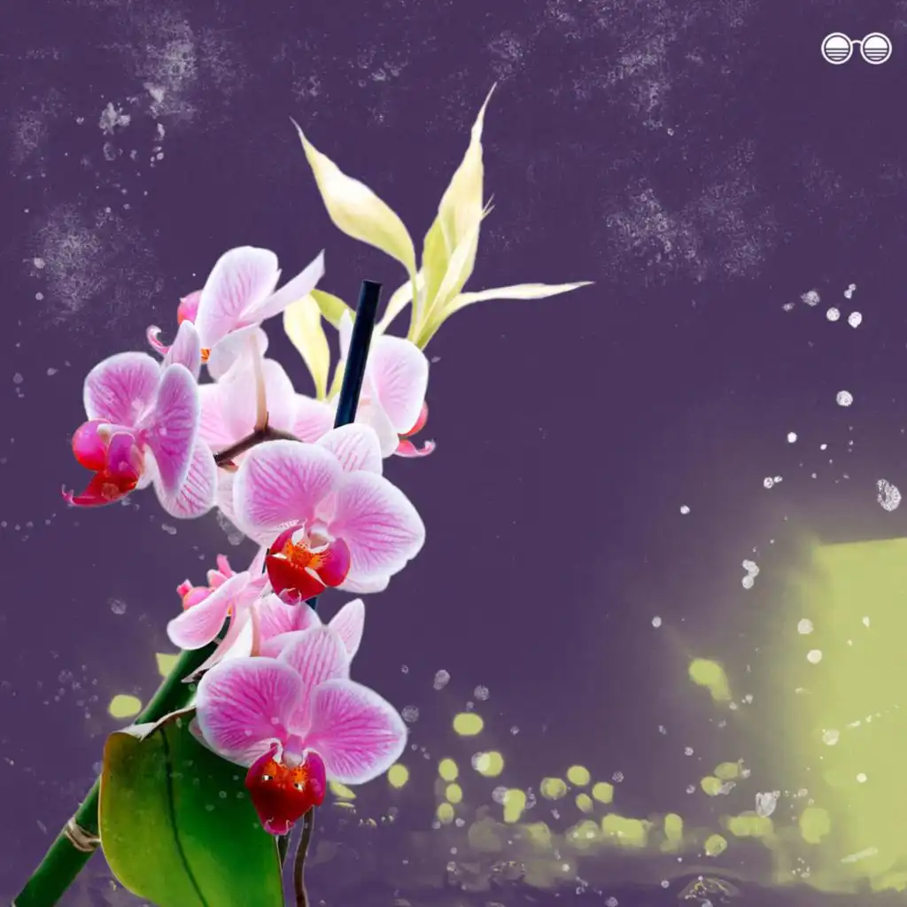 artist-header-image