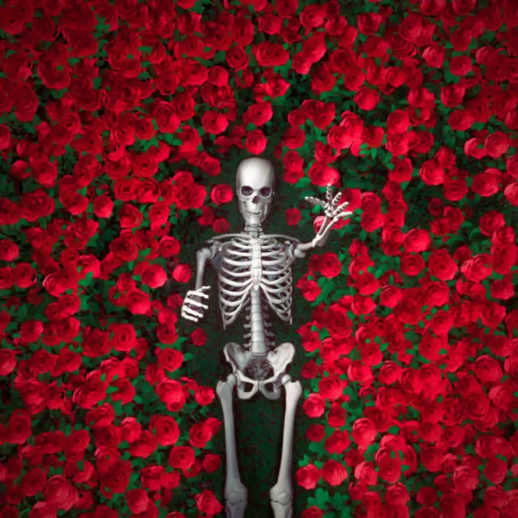 artist-header-image