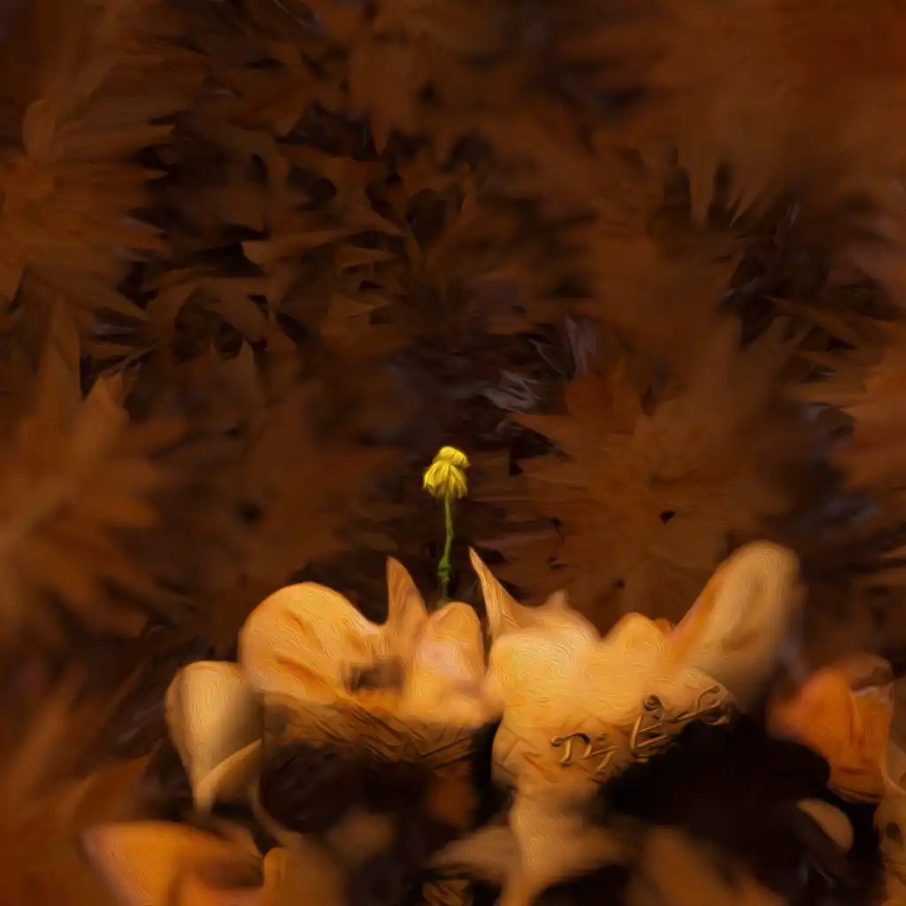 header-image