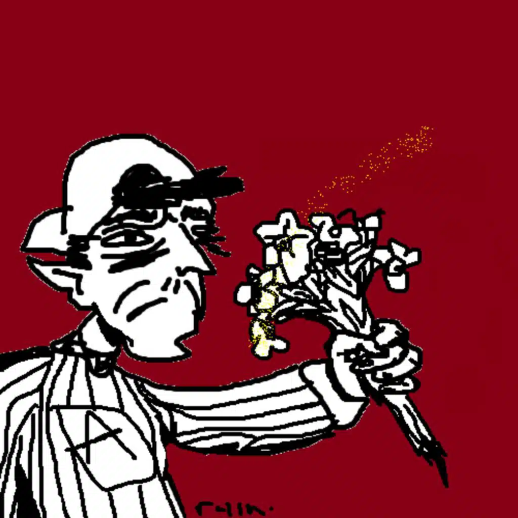 header-image