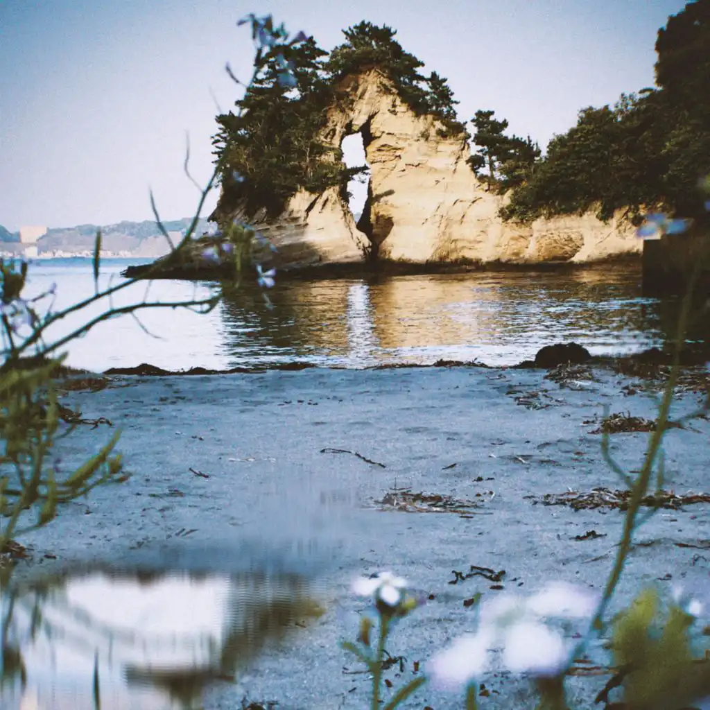 header-image