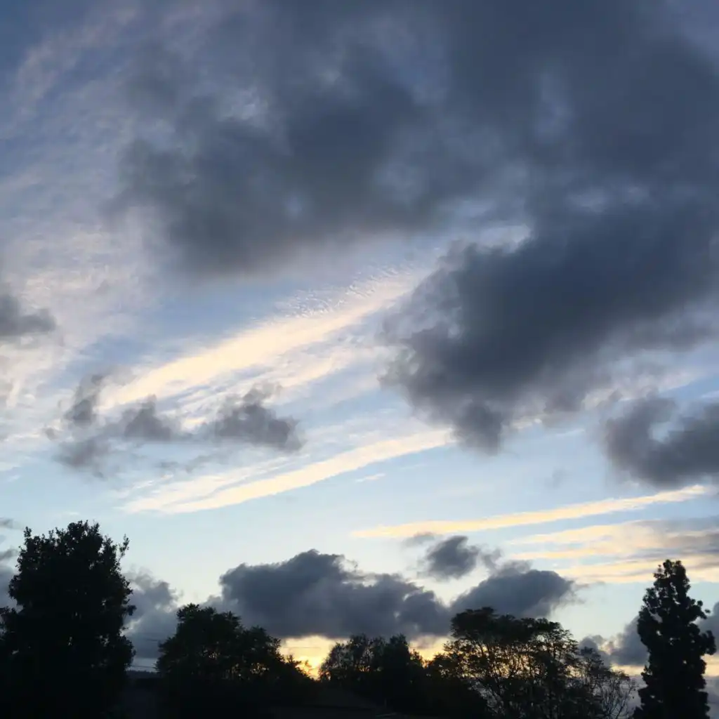header-image