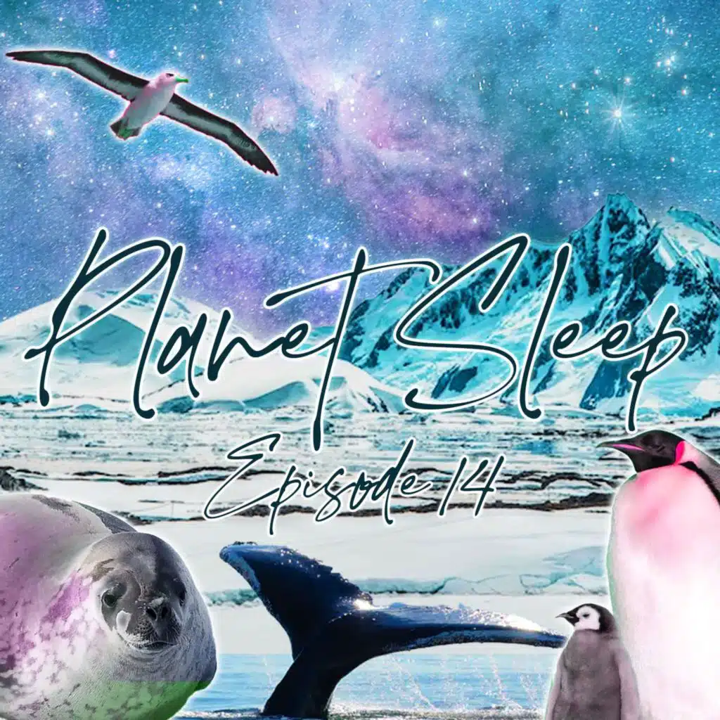 episode-header-image