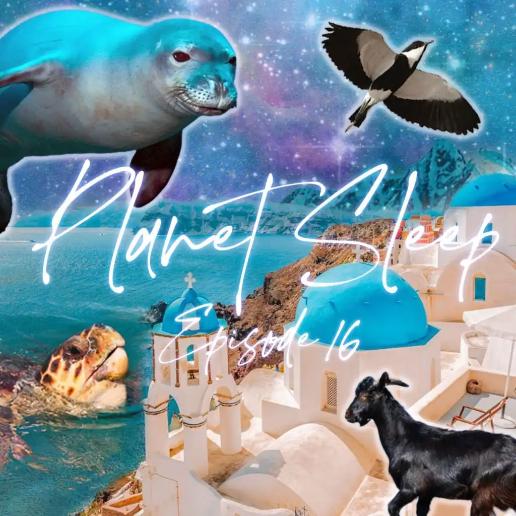 episode-header-image
