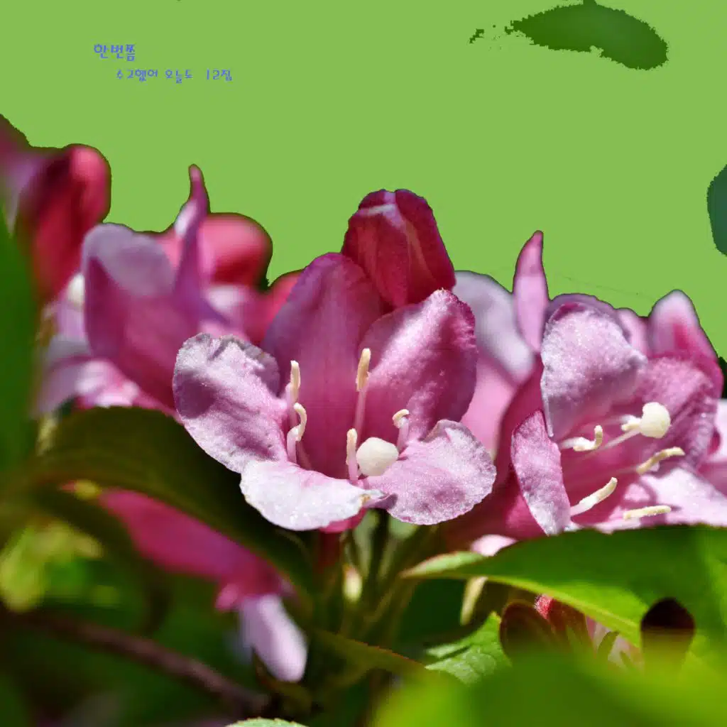 artist-header-image