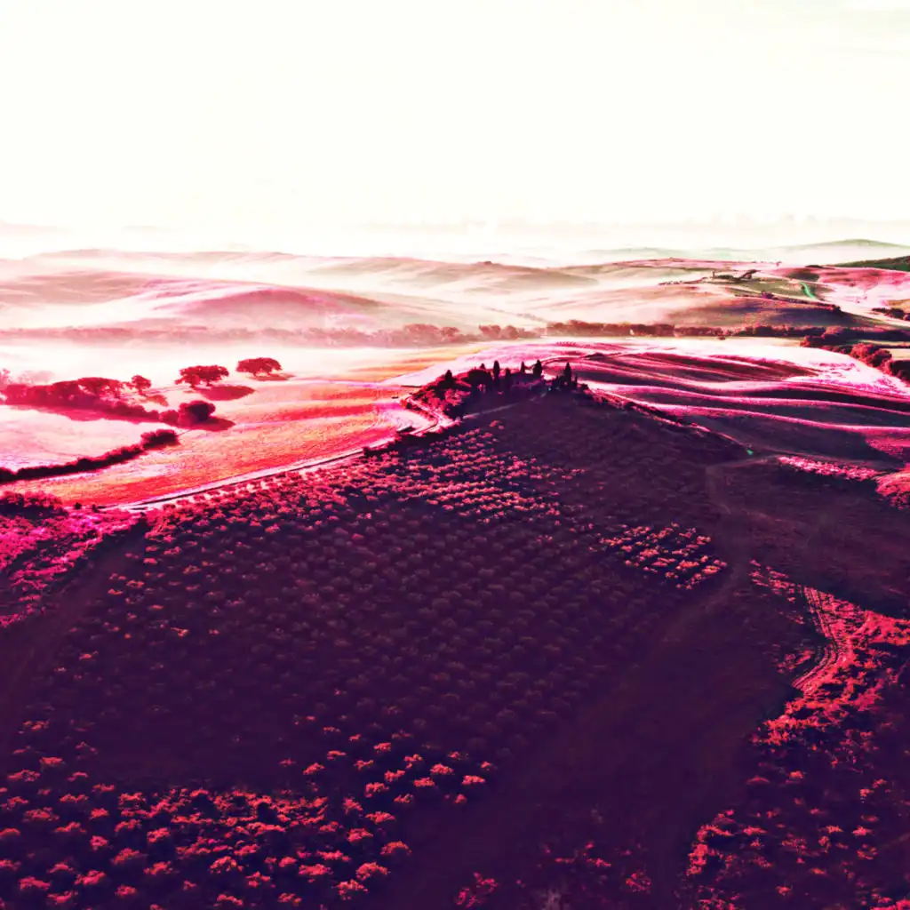 artist-header-image