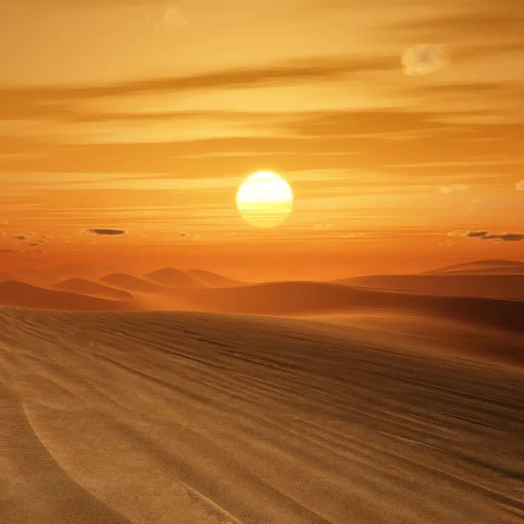 header-image