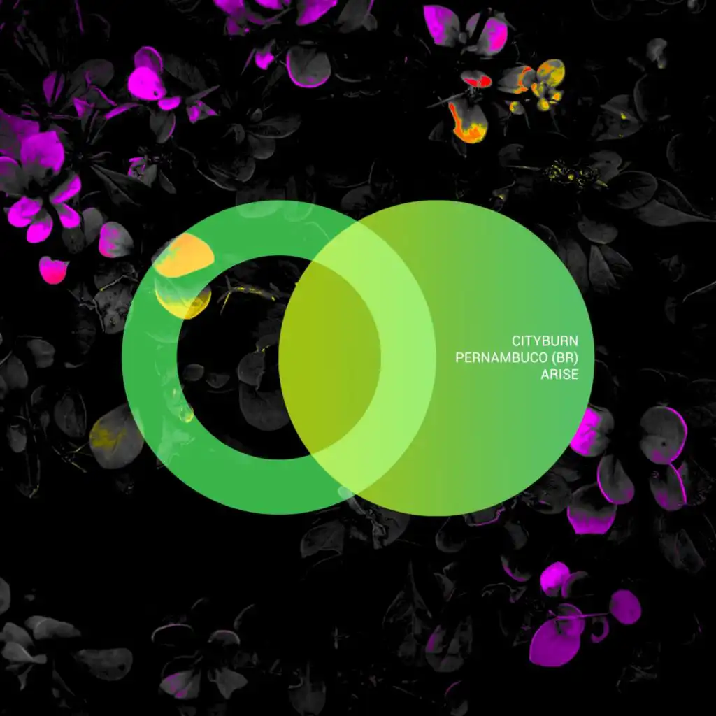 artist-header-image