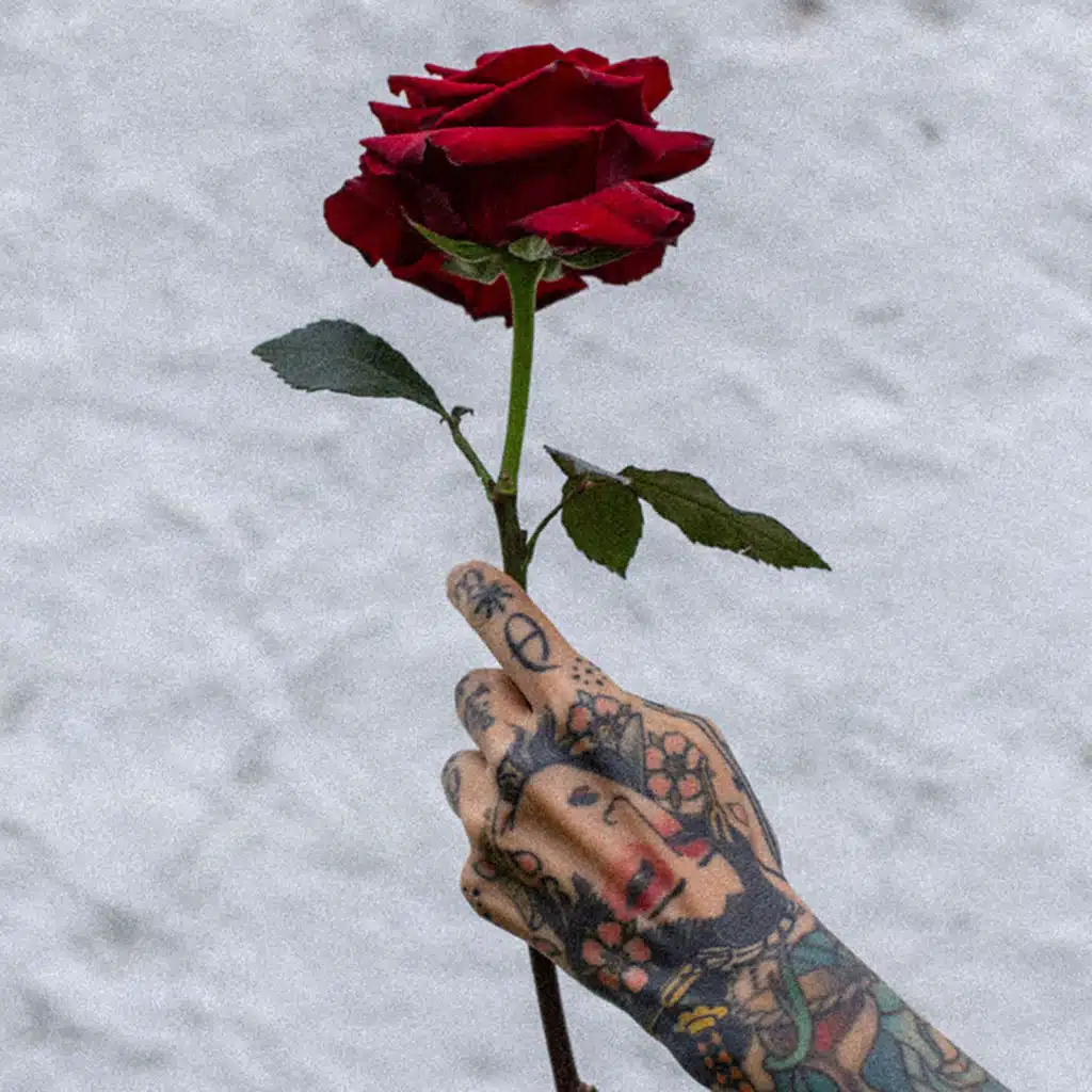 header-image