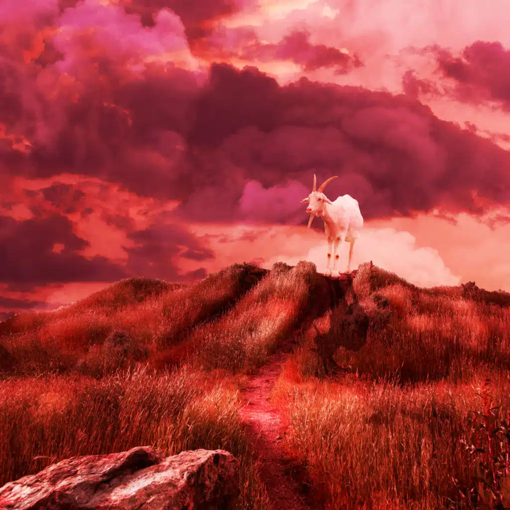 artist-header-image