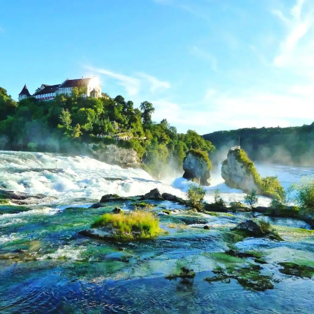 header-image