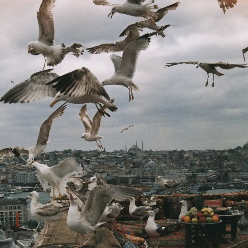artist-header-image