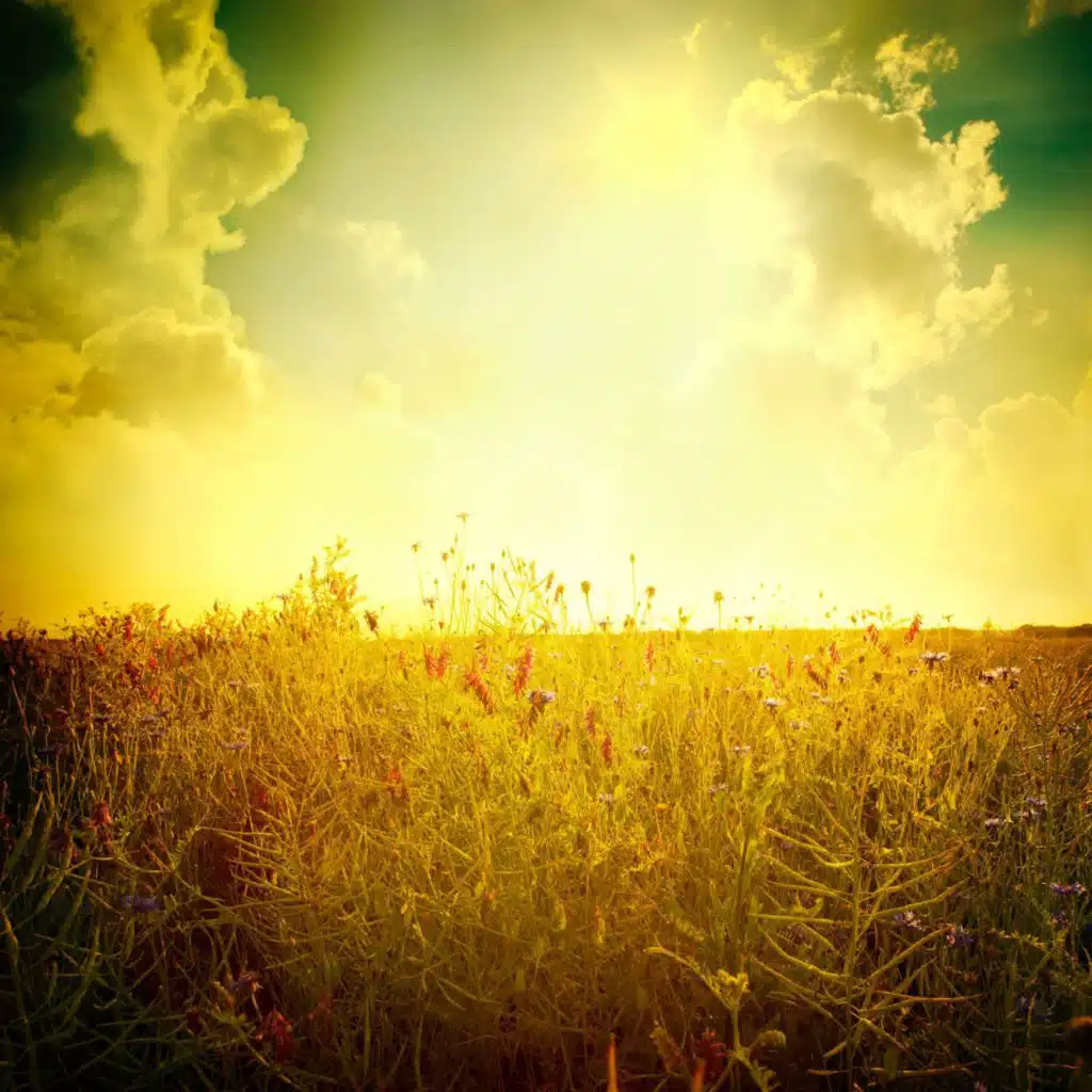artist-header-image