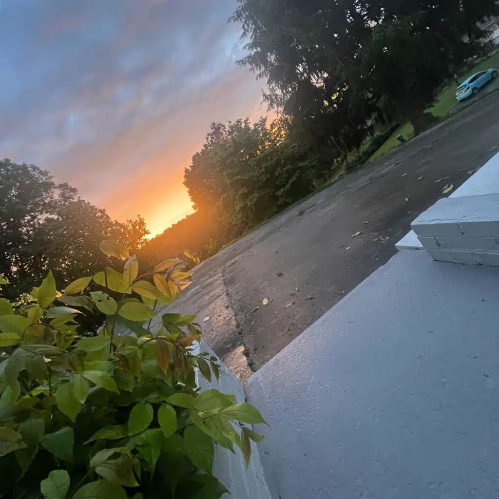 header-image