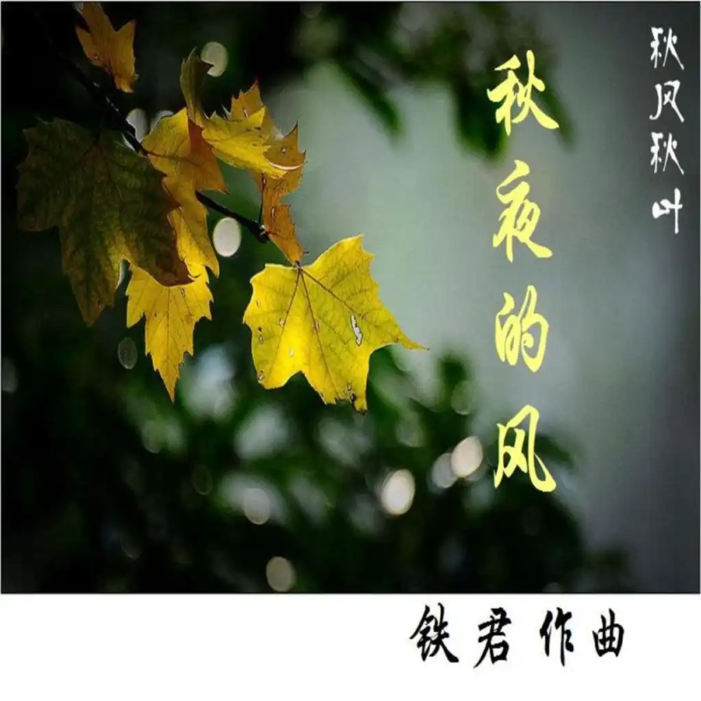 header-image