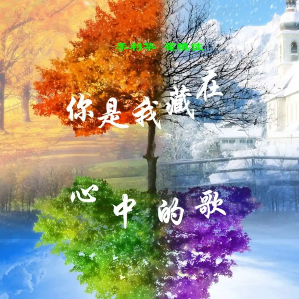 header-image
