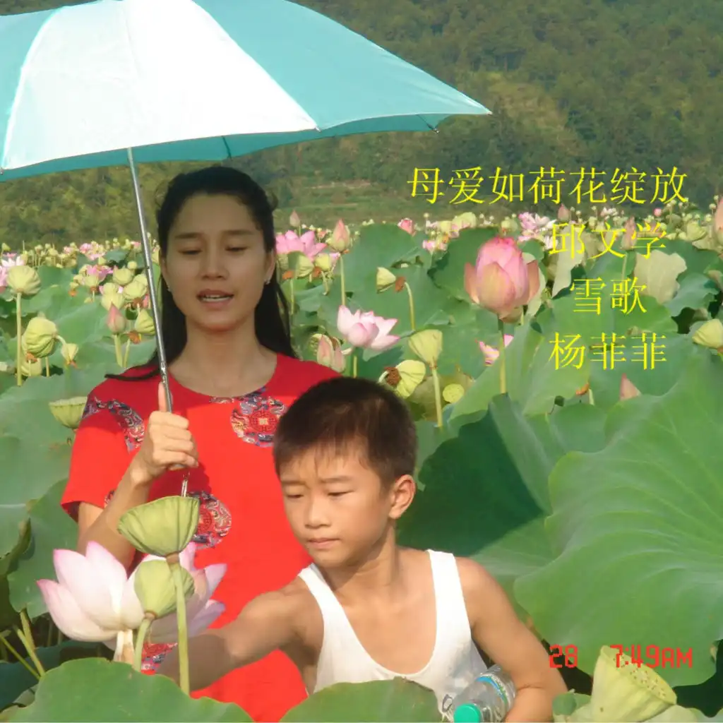 header-image