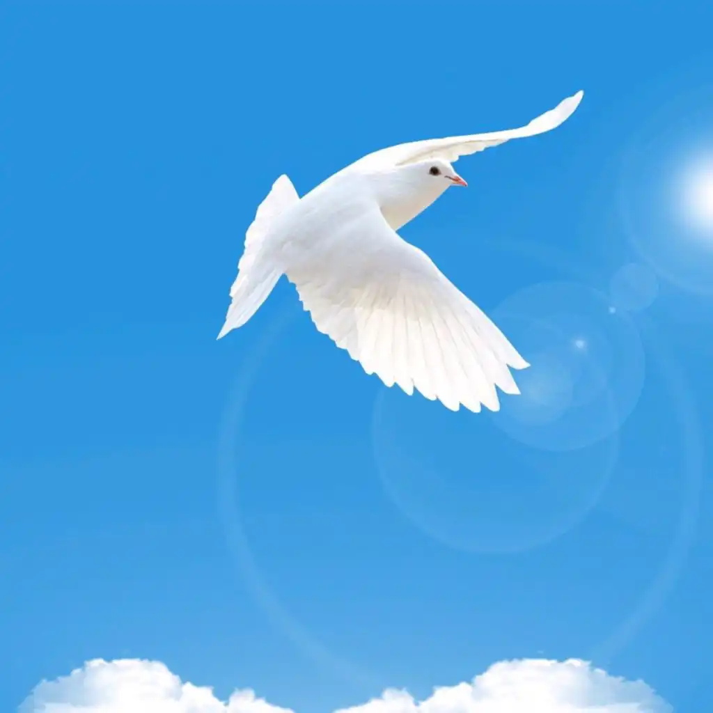 header-image
