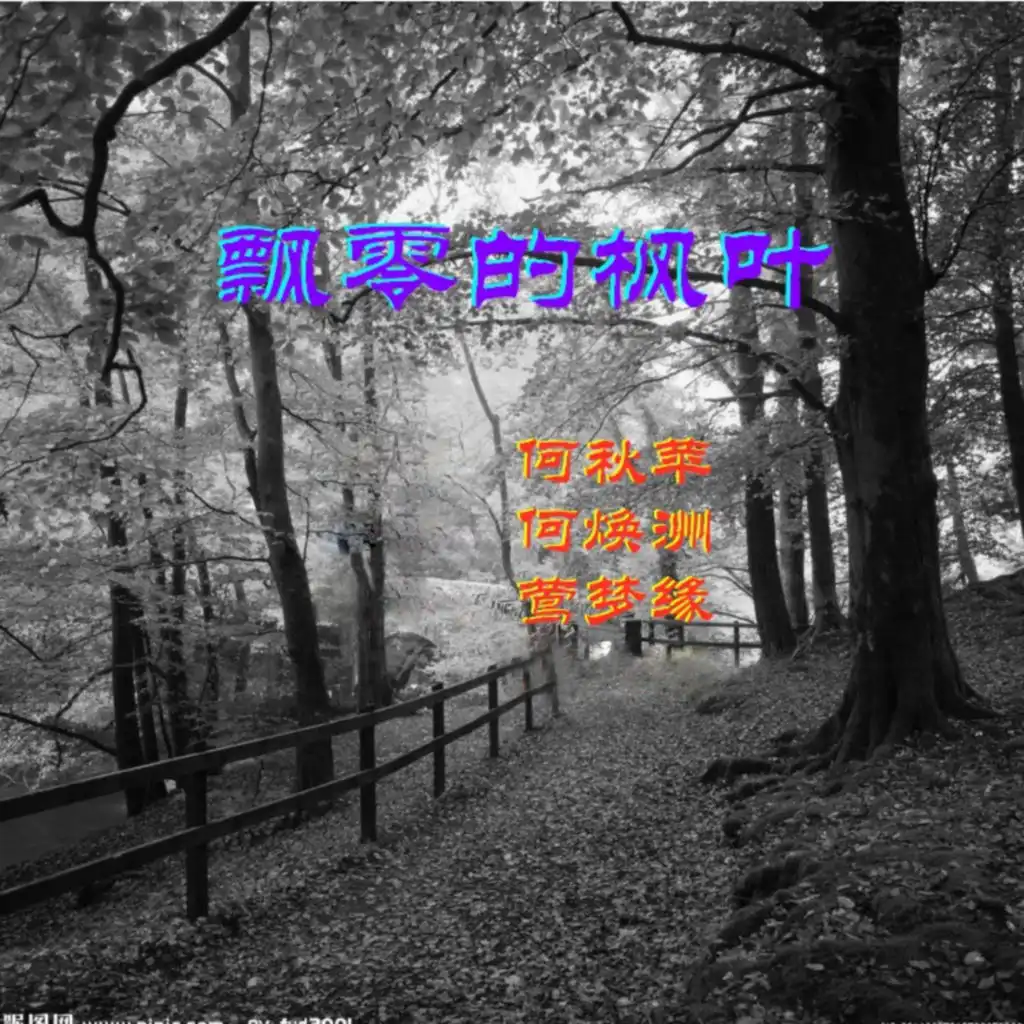 header-image