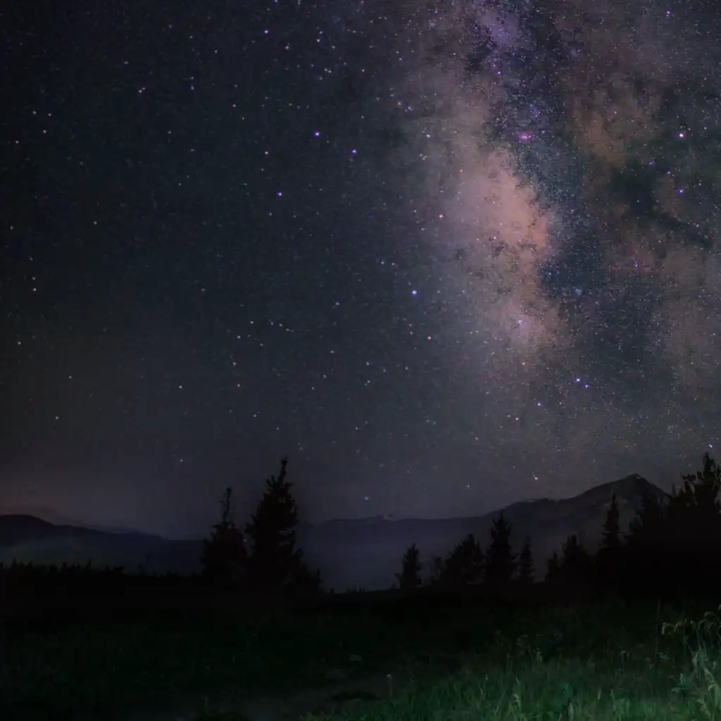 artist-header-image