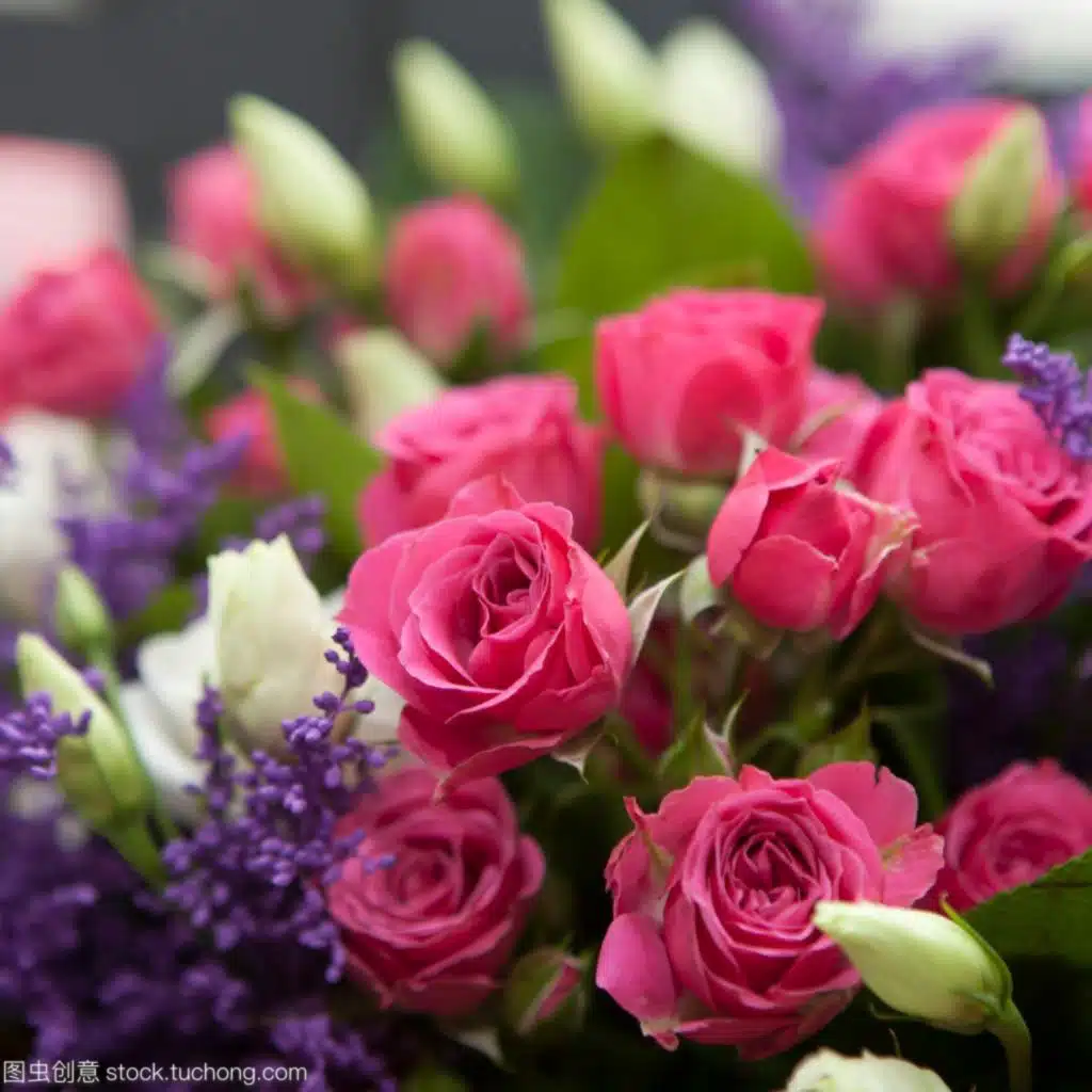 artist-header-image