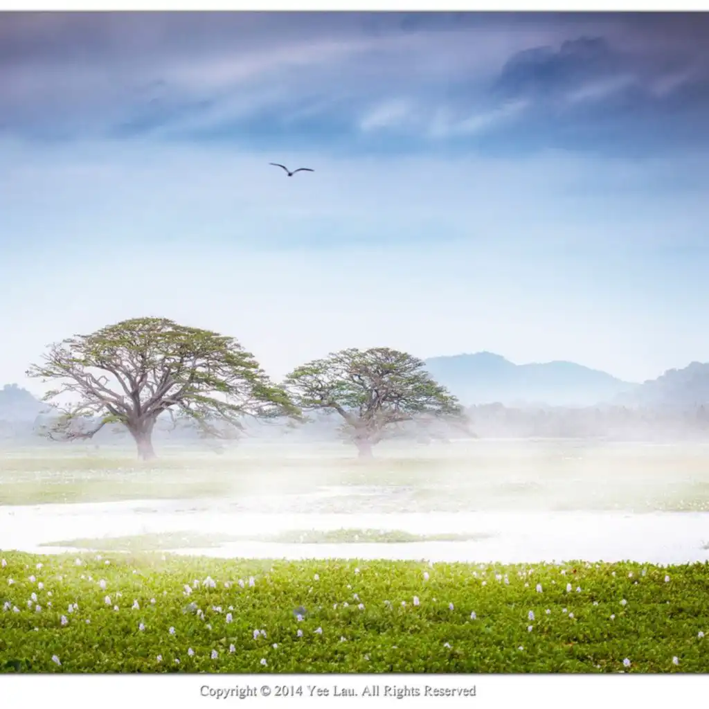 artist-header-image