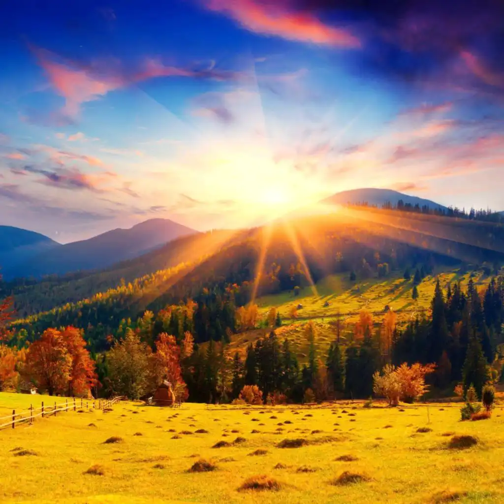 artist-header-image