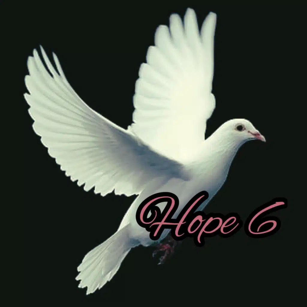 header-image