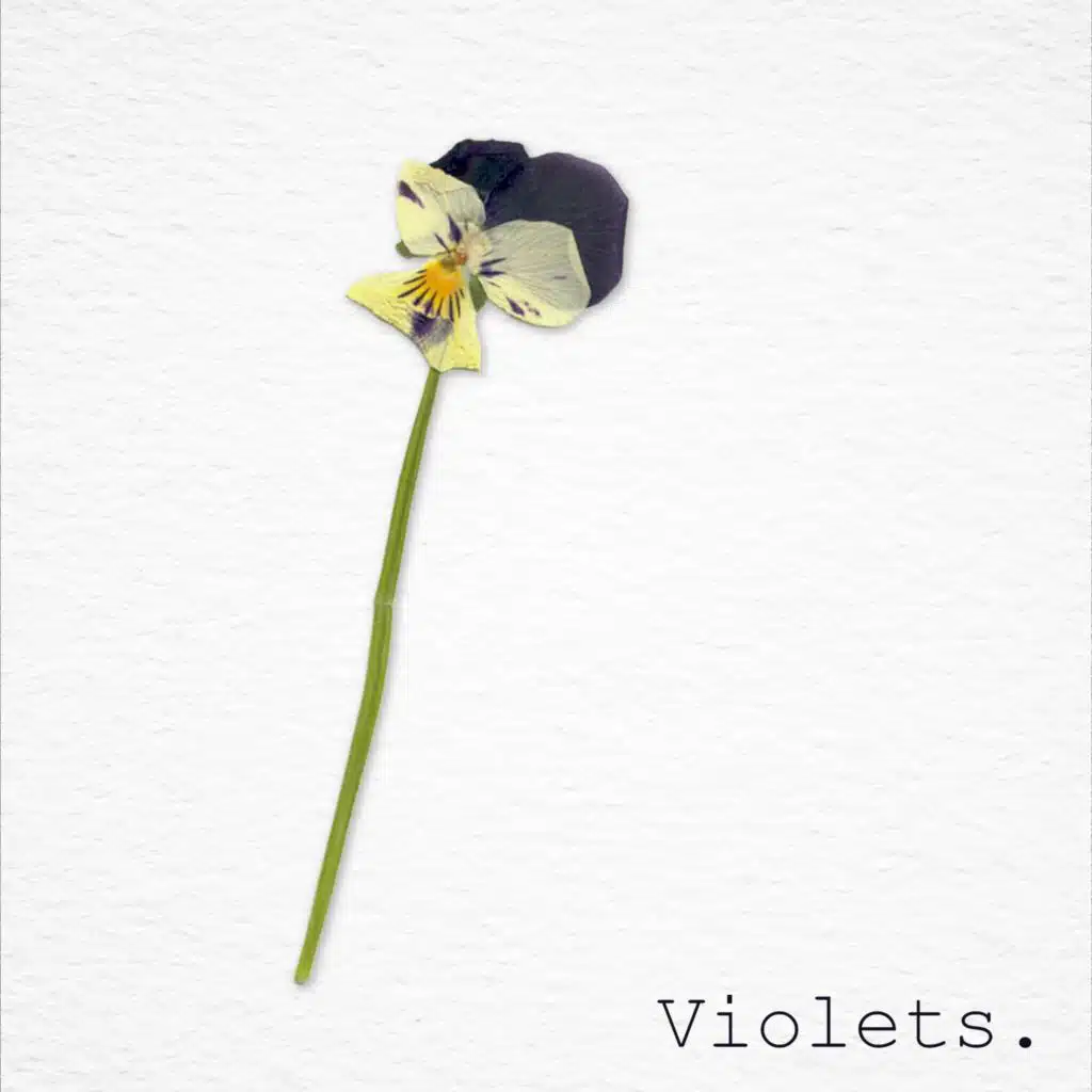 header-image