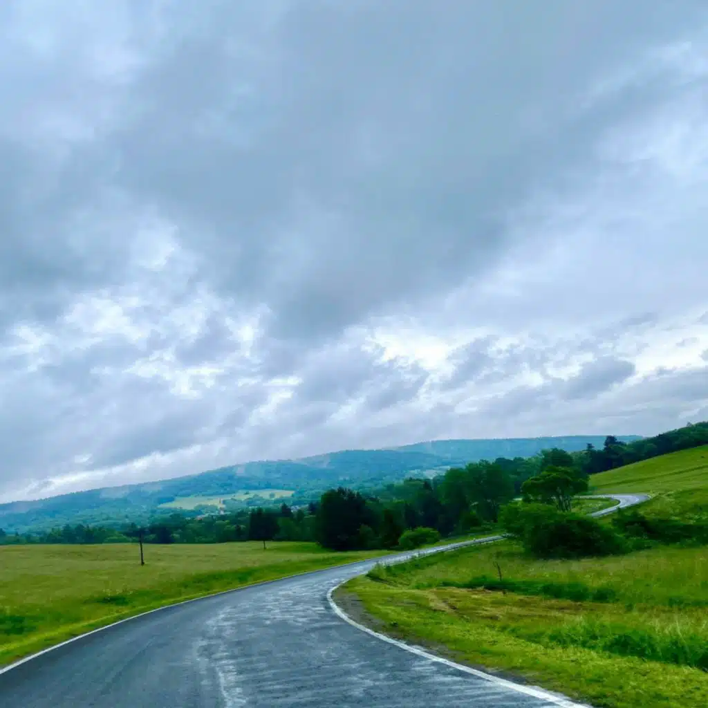 header-image