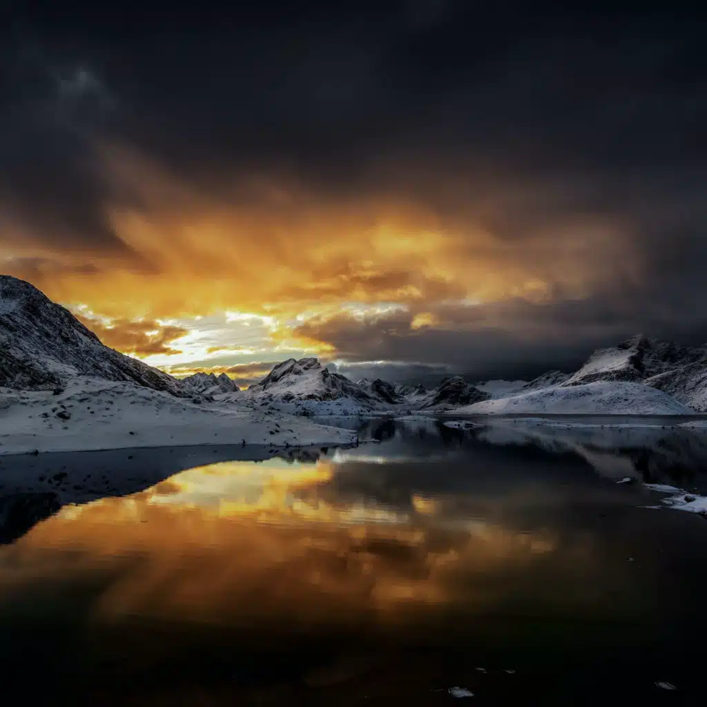 header-image