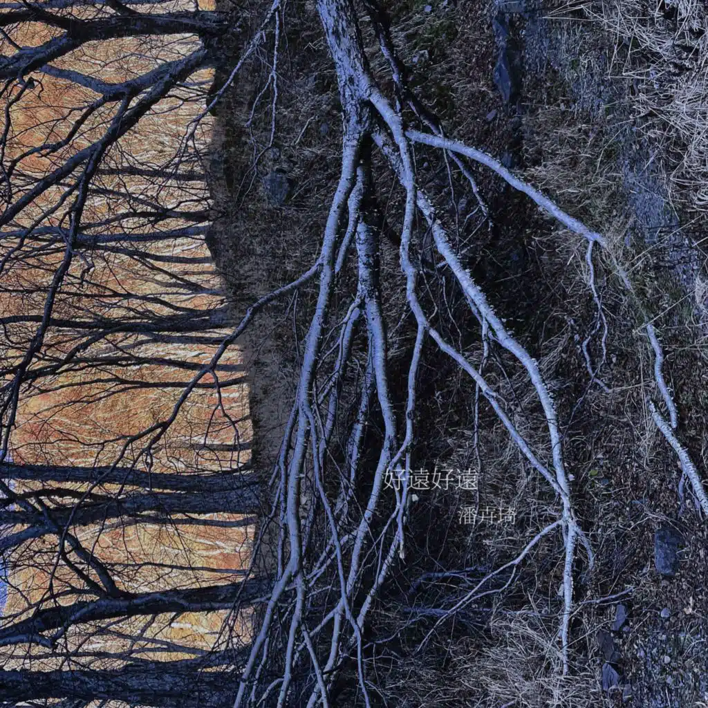 header-image