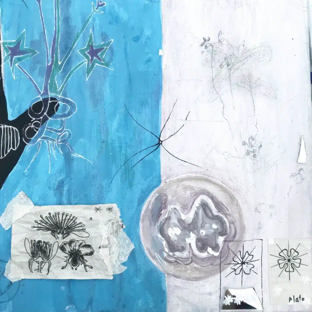 header-image
