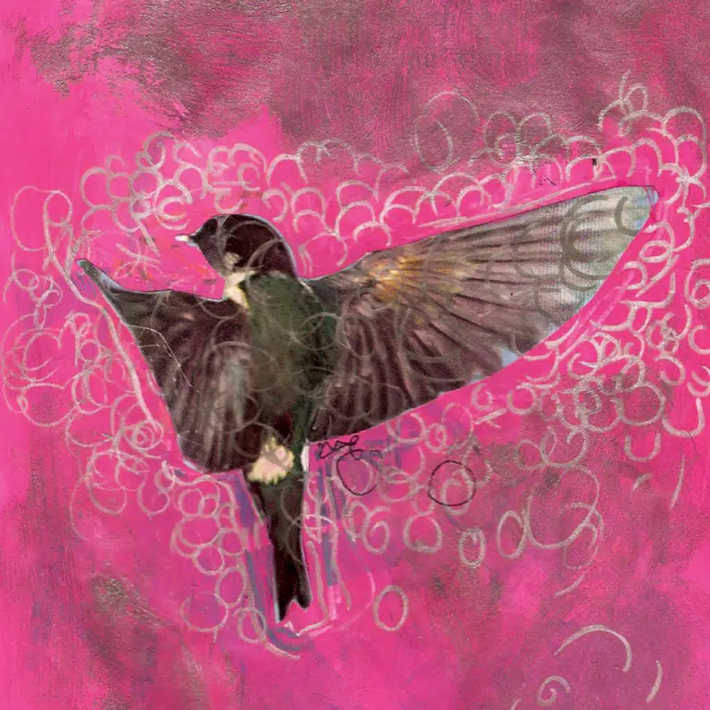 header-image