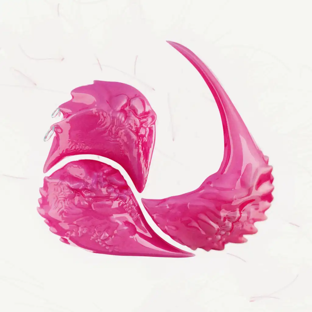 header-image
