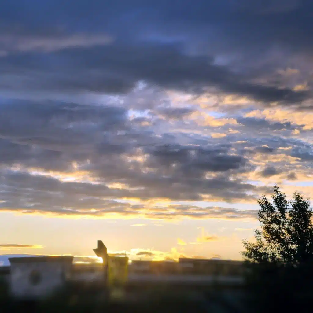 header-image