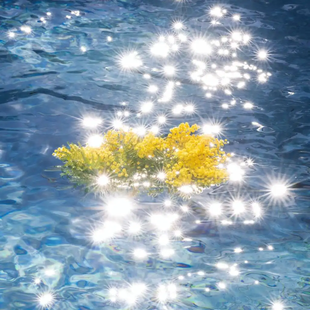artist-header-image