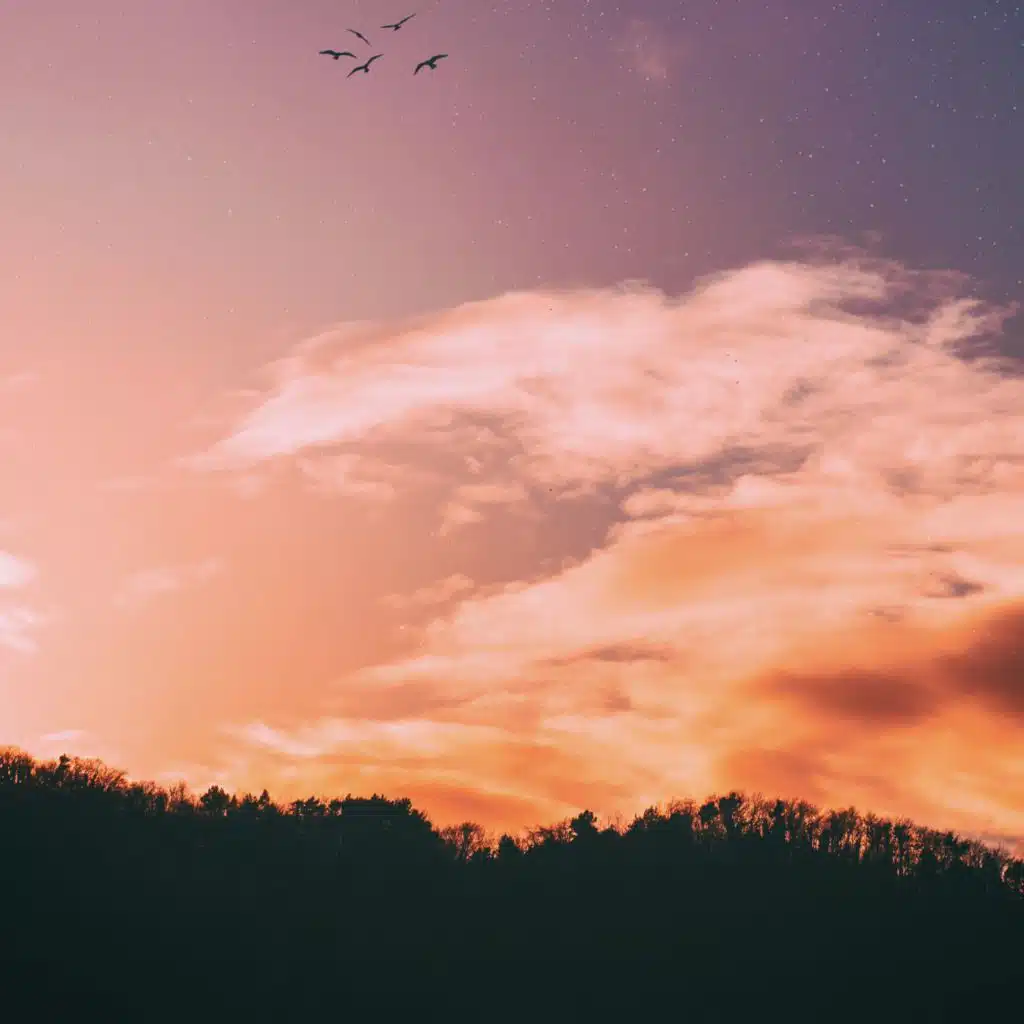 header-image