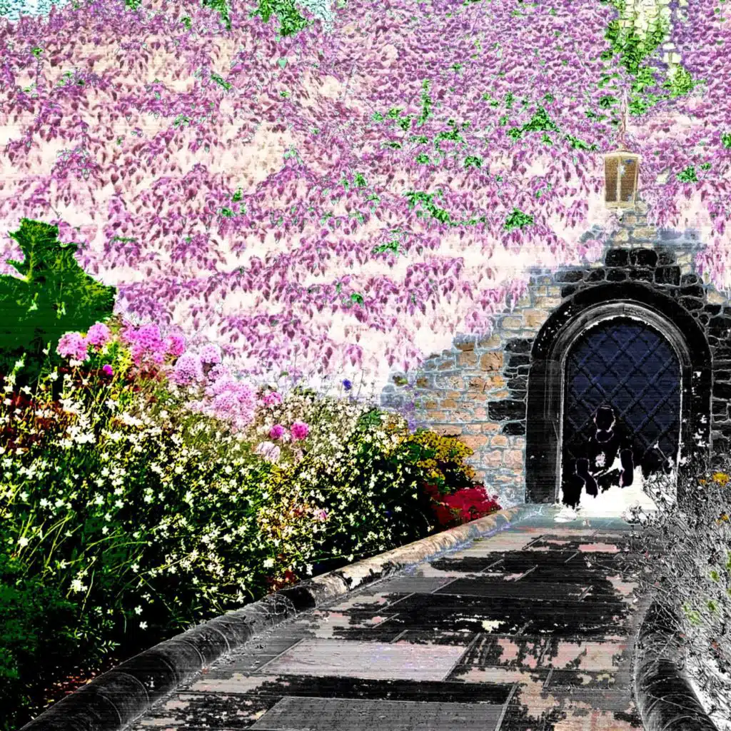 header-image