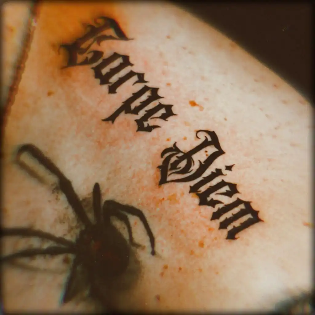 artist-header-image