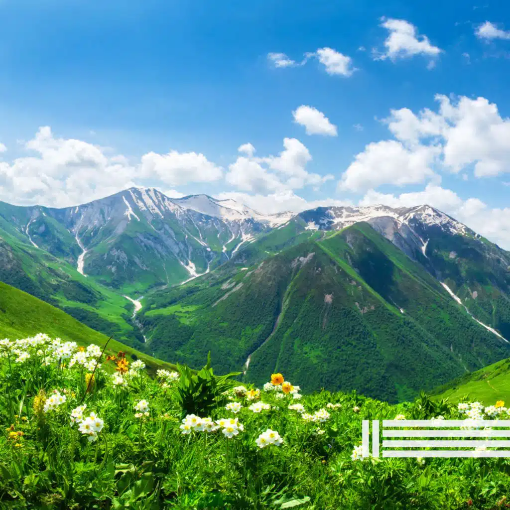 header-image