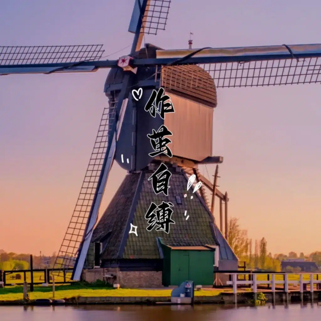 header-image