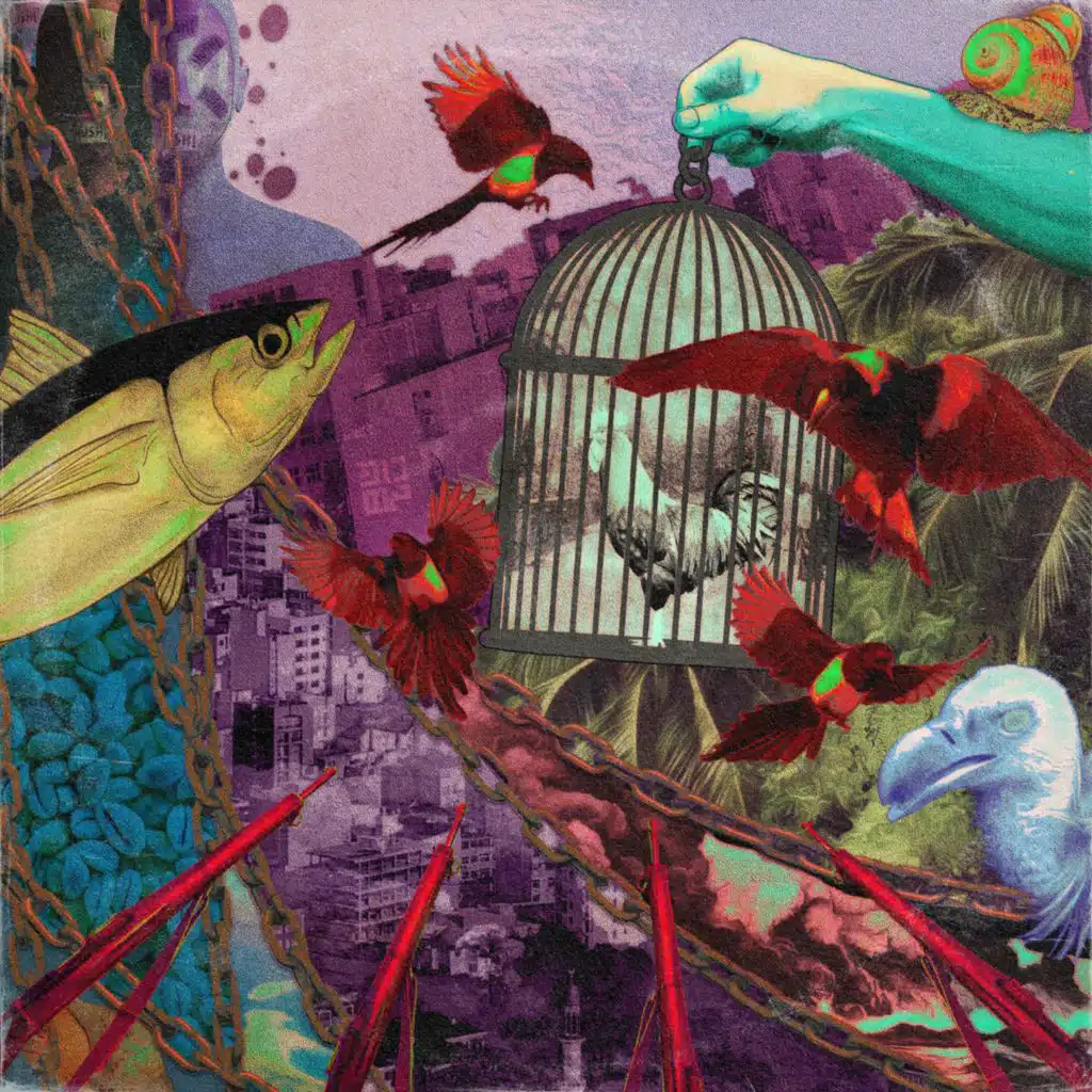 artist-header-image
