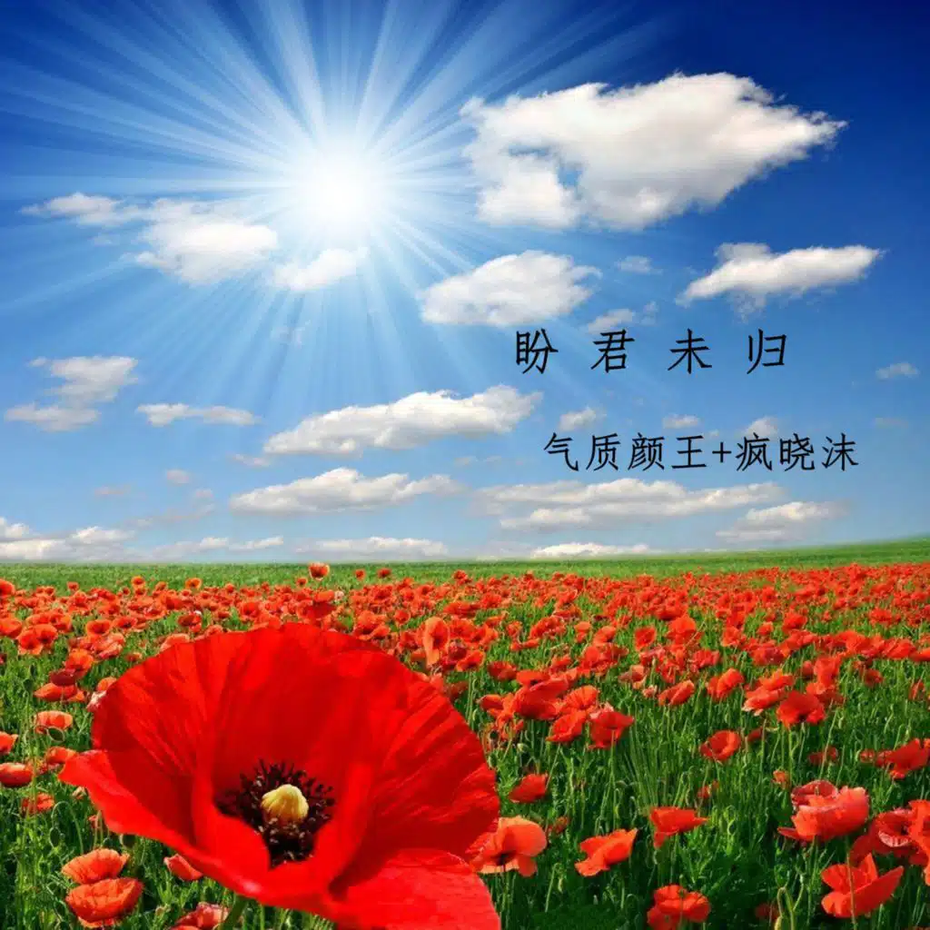 artist-header-image