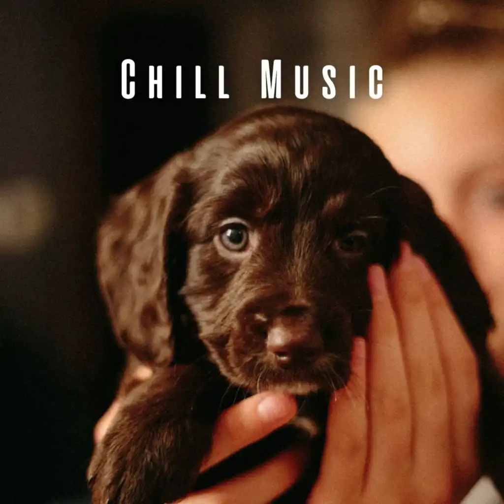 Dog chill hot sale music