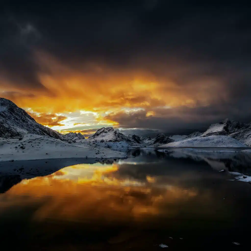 header-image