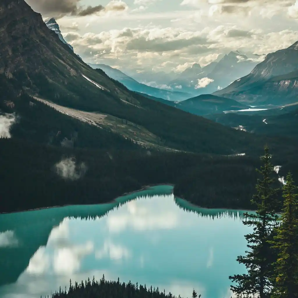 header-image