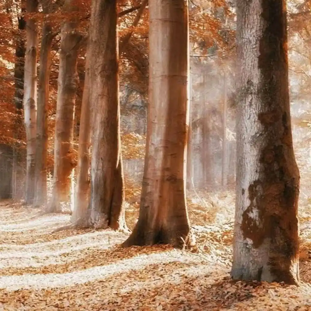 artist-header-image