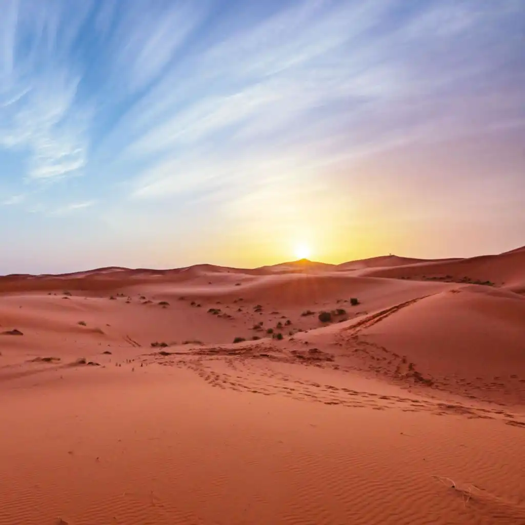 header-image